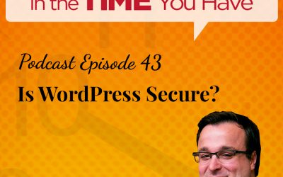 #43 – Is WordPress Secure?